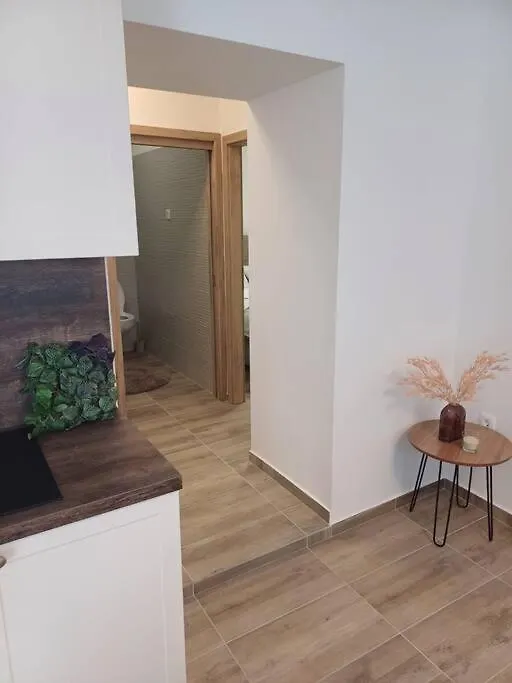 Central Vita Apartment Rijeka 0*,